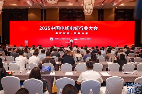 陆续10年！抖du圈股份荣膺“2025中国线缆产业最具竞争力企业100强”