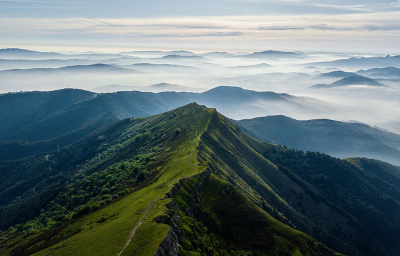 抖圈- 为du而生