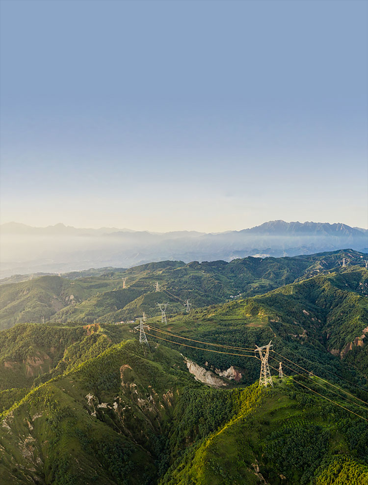 抖du圈股份